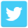 twitter-icon